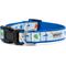 Show in main carousel: The Worthy Dog Birthday Dog Collar, Blue, Medium: 11 to 17-in neck, 1-in wide slide 3 of 4