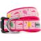 Show in main carousel: The Worthy Dog Birthday Dog Collar, Pink, Large: 14 to 20-in neck, 1-in wide slide 1 of 3