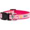 Show in main carousel: The Worthy Dog Birthday Dog Collar, Pink, Small: 8 to 14-in neck, 5/8-in wide slide 2 of 3