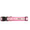 Show in main carousel: The Worthy Dog Birthday Dog Collar, Pink, X-Small: 5 to 11-in neck, 1/2-in wide slide 3 of 3