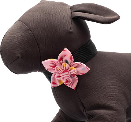 Show full view: The Worthy Dog Birthday Girl Flower Dog Collar Accessory, Pink, Large slide 3 of 4