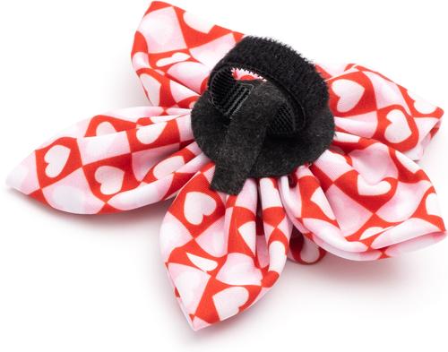 Show full view: The Worthy Dog Valentine's Day Colorblock Hearts Flower, Red, Small slide 3 of 3