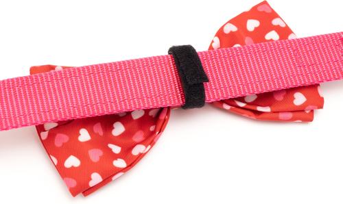 Show full view: The Worthy Dog Valentine's Day Cupid Dog Bow Tie, Red, Small slide 4 of 5