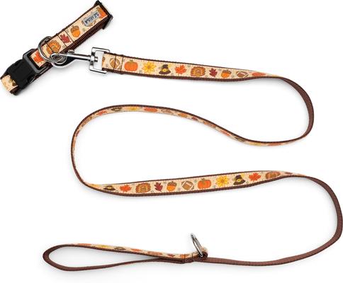 Show full view: The Worthy Dog Fallelujah Dog Collar, Beige, Medium: 11 to 17-in neck, 1-in wide slide 3 of 4