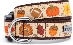 The Worthy Dog Fallelujah Dog Collar, Beige, Small: 8 to 14-in neck, 5/8-in wide