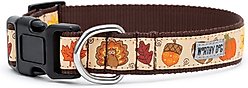 The Worthy Dog Fallelujah Dog Collar, Beige, Small: 8 to 14-in neck, 5/8-in wide slide 2 of 3