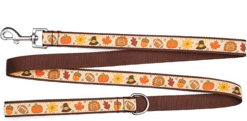 Show full view: The Worthy Dog Fallelujah Lead Dog Leash, Beige, Large: 5-ft long, 1-in wide slide 3 of 4