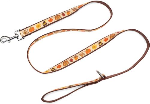 Show full view: The Worthy Dog Fallelujah Lead Dog Leash, Beige, Large: 5-ft long, 1-in wide slide 2 of 4