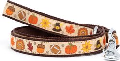The Worthy Dog Fallelujah Lead Dog Leash, Beige, Small: 5-ft long, 5/8-in wide