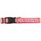Show in main carousel: The Worthy Dog Fleurs Dog Collar, Pink, Small: 8 to 14-in neck, 5/8-in wide slide 2 of 4