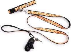 The Worthy Dog Fleurs Dog Collar, Yellow, Large: 14 to 20-in neck, 1-in wide slide 2 of 6