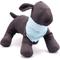 Show in main carousel: The Worthy Dog Gingham Flamingos Dog Bandana, Aqua, Small slide 2 of 3