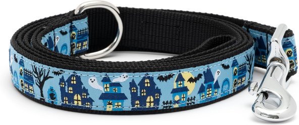 The Worthy Dog Haunting Lead Standard Dog Leash, Blue, Small: 5-ft long, 5/8-in wide