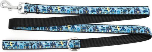 Show full view: The Worthy Dog Haunting Lead Standard Dog Leash, Blue, Small: 5-ft long, 5/8-in wide slide 2 of 3