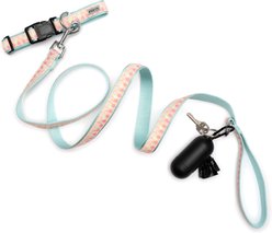 The Worthy Dog Mermaid Lead Dog Leash, Pink, Large: 5-ft long, 1-in wide slide 2 of 4