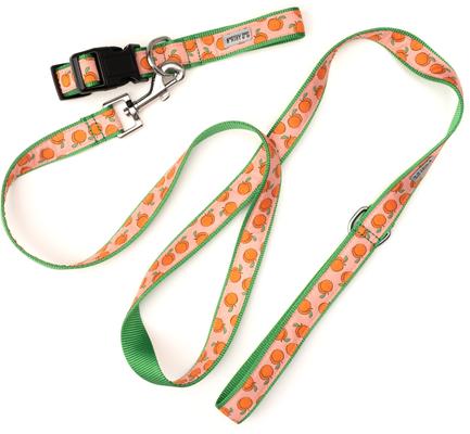Show full view: The Worthy Dog Peachy Keen Dog Collar, Peach, Medium: 11 to 17-in neck, 1-in wide slide 3 of 4