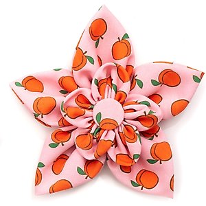 The Worthy Dog Peachy Keen Flower Dog Collar Accessory, Peach, Large