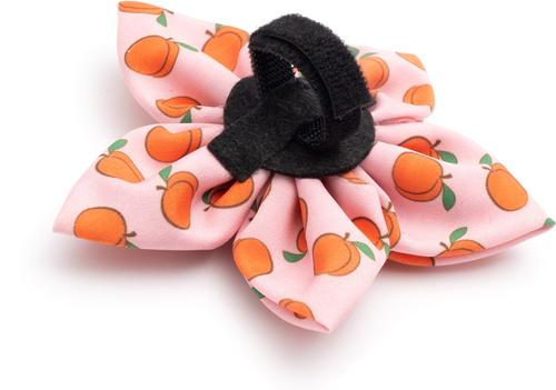 Show full view: The Worthy Dog Peachy Keen Flower Dog Collar Accessory, Peach, Small slide 3 of 3