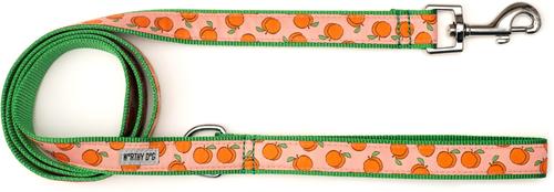 Show full view: The Worthy Dog Peachy Keen Lead Dog Leash, Peach, Large: 5-ft long, 1-in wide slide 2 of 3