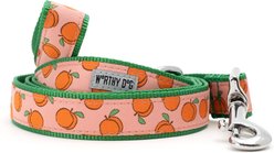 The Worthy Dog Peachy Keen Lead Dog Leash, Peach, Small: 5-ft long, 5/8-in wide