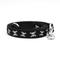 Show in main carousel: The Worthy Dog Skull & Crossbones Lead Standard Dog Leash, Black, Large: 5-ft long, 1-in wide slide 1 of 3