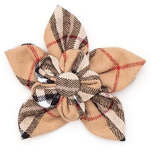 The Worthy Dog Tan Plaid Flower Dog Collar Accessory, Tan, Large