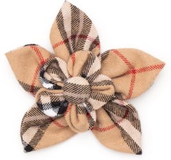 The Worthy Dog Tan Plaid Flower Dog Collar Accessory, Tan, Small