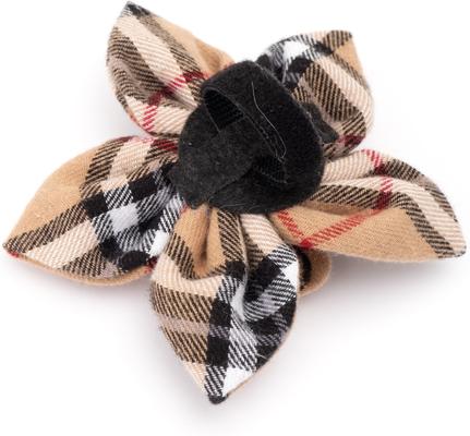Show full view: The Worthy Dog Tan Plaid Flower Dog Collar Accessory, Tan, Small slide 4 of 4