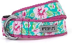 The Worthy Dog Watercolor Floral Dog Collar, Teal, Large: 14 to 20-in neck, 1-in wide