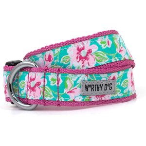 The Worthy Dog Watercolor Floral Dog Collar, Teal, Small: 8 to 14-in neck, 5/8-in wide
