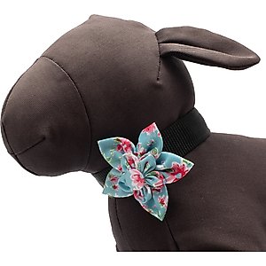 The Worthy Dog Watercolor Floral Flower Dog & Cat Collar Accessory, Teal, Large