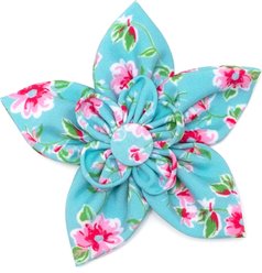 The Worthy Dog Watercolor Floral Flower Dog & Cat Collar Accessory, Teal, Small