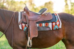 ThinLine Perfect Fit Western Horse Saddle Pad, Black slide 2 of 4