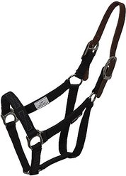 ThinLine Turnout Horse Halter, Horse