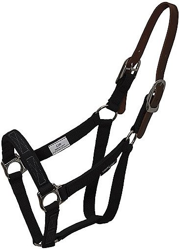 Perri's Leather 1/2-in Cotton Horse Lead, 6-ft