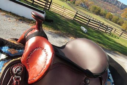 Show full view: ThinLine Western Horse Seat Maker, Brown slide 2 of 3