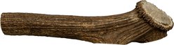 this and that Canine Company North Country Natural Shed Premium Whole Elk Antler Chew Dog Treat, Huge