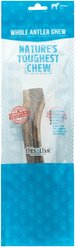 this and that Canine Company North Country Natural Shed Premium Whole Elk Antler Chew Dog Treat, Jumbo