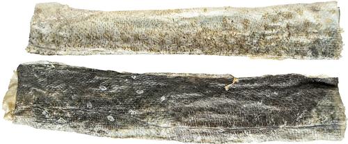 Show full view: this and that Canine Company Sydney's Harbour Large Fish Planks Dehydrated Cat & Dog Treat, 2.5-oz bag slide 3 of 4