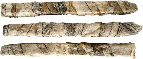 Show full view: this and that Canine Company Sydney's Harbour Nova Scotia Stogies Dehydrated Cat & Dog Treat, 2.5-oz bag slide 3 of 3