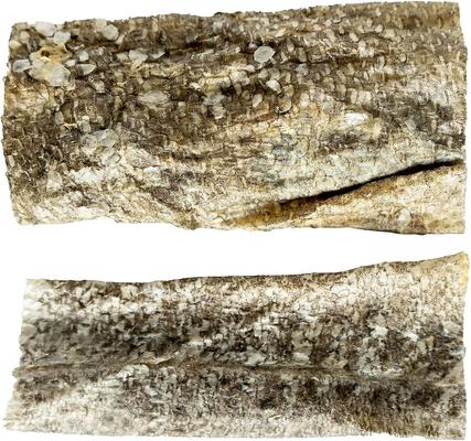 Show full view: this and that Canine Company Sydney's Harbour Small Fish Planks Dehydrated Cat & Dog Treat, 2.5-oz bag slide 3 of 4