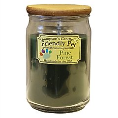 Thompson's Candle Co. Pine Forest Scented Friendly Pet Candle