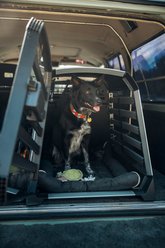 Thule Bexey Dog Bike Trailer Rain Cover, Clear, Medium slide 2 of 2