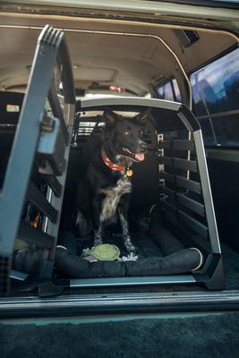 Show full view: Thule Bexey Dog Bike Trailer Rain Cover, Clear, Medium slide 2 of 2