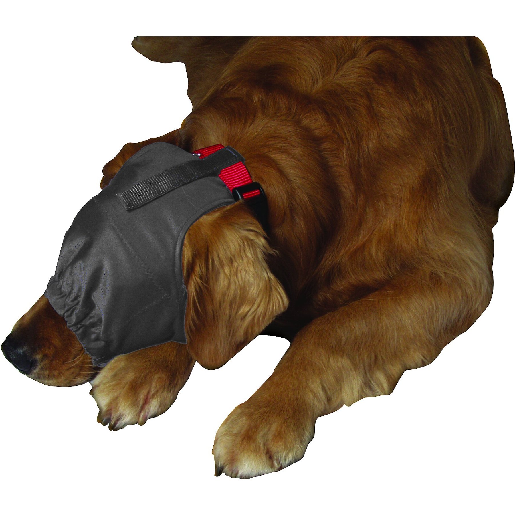 ThunderCap Calming Cap for Dogs, Medium