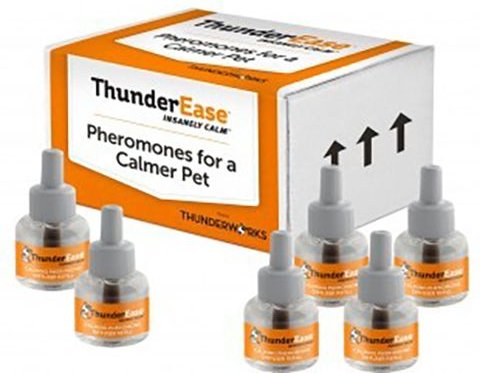 Show full view: ThunderEase Powered by ADAPTIL Calming Pheromone Diffuser Refill for Dogs, 180 day, 6 count slide 1 of 10
