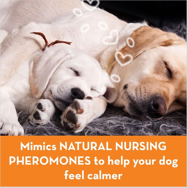 Show full view: ThunderEase Powered by ADAPTIL Calming Pheromone Diffuser Refill for Dogs, 180 day, 6 count slide 6 of 10