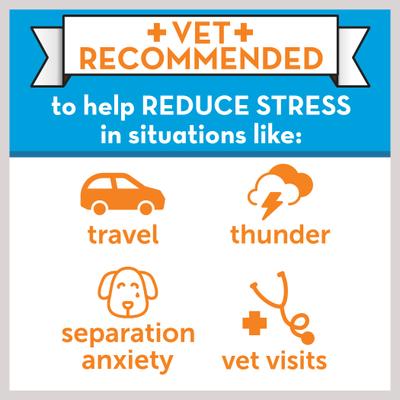 Show full view: ThunderEase Powered by ADAPTIL Calming Pheromone Spray for Dogs, 60 mL slide 6 of 11