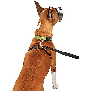 ThunderLeash Nylon Dog Leash, Black, Medium/Large: 7-ft long, 1-in wide