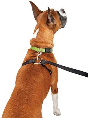 Show full view: ThunderLeash Nylon Dog Leash, Black, Medium/Large: 7-ft long, 1-in wide slide 2 of 8